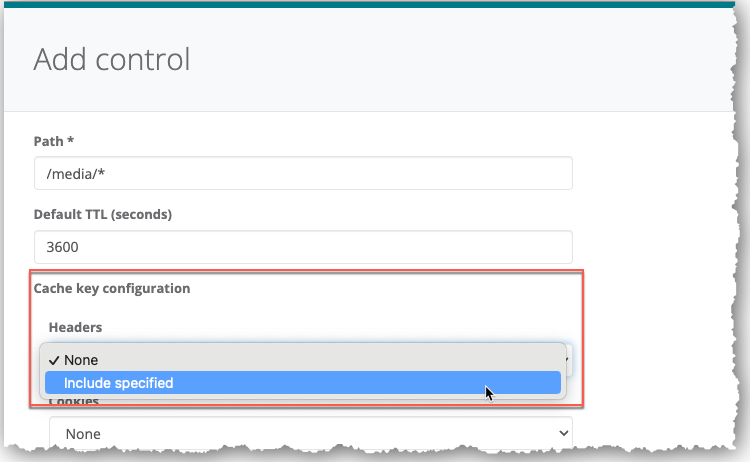 Select Include specified header option for cache key headers