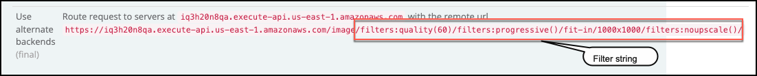 Image Manager Safari Web Control filters string