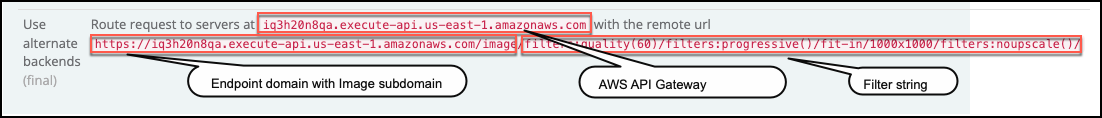 Image Manager Safari Web Control filters detailed example